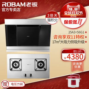 Robam/老板 25A356G1