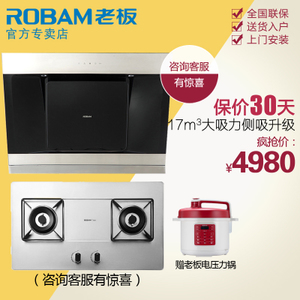 Robam/老板 25A356G1