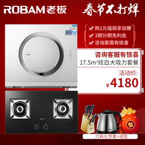 Robam/老板 21A656B0