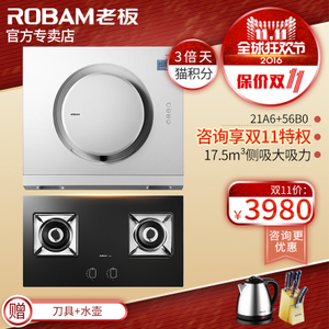 Robam/老板 21A656B0