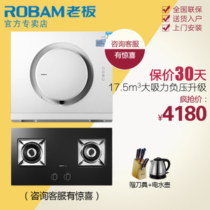 Robam/老板 21A656B0