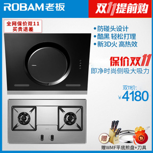 Robam/老板 26A5T58G6