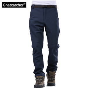 Gnatcatcher GN9933