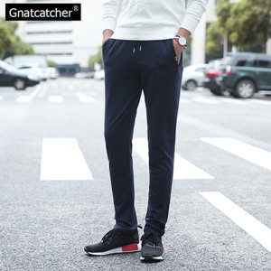 Gnatcatcher GN805