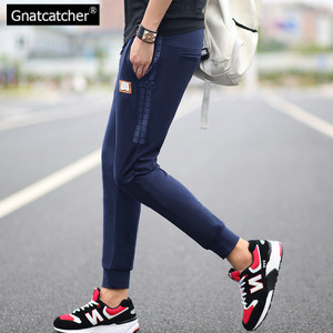 Gnatcatcher GN29