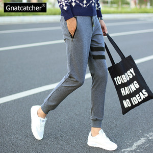 Gnatcatcher GN39