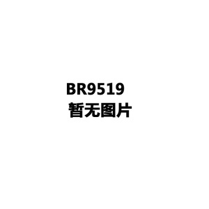 Adidas/阿迪达斯 BR9519