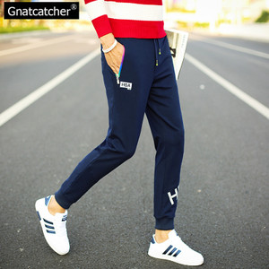 Gnatcatcher GN43