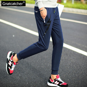 Gnatcatcher GN52