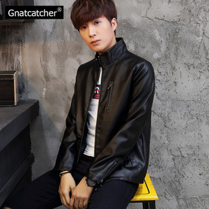 Gnatcatcher GN656