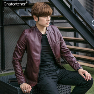 Gnatcatcher GN1639