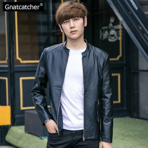 Gnatcatcher GN1640
