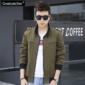Gnatcatcher GN7715