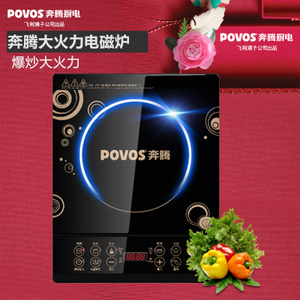 Povos/奔腾 PIB12