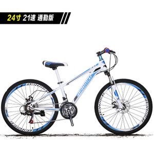 E-MTB-X300-24-21