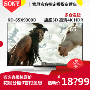 Sony/索尼 KD-65X9300D