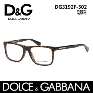 D＆G DG3192F502