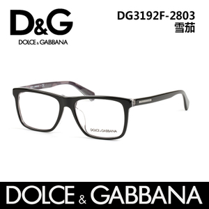 D＆G DG3192F2803