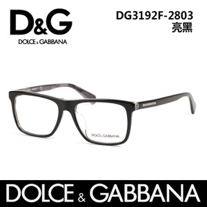 D＆G DG3192F2803