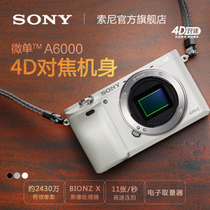 Sony/索尼 ILCE-6000