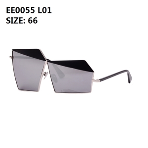 EE0055-L01