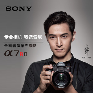Sony/索尼 ILCE-7RM2