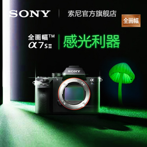 Sony/索尼 ILCE-7SM2