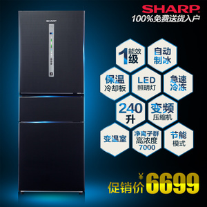 Sharp/夏普 BCD-240WVF-B