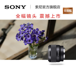 Sony/索尼 SEL50F18F