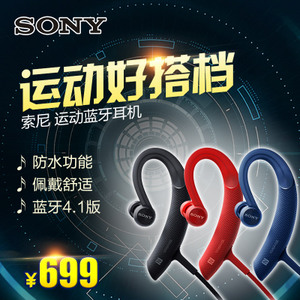 Sony/索尼 MDR-XB80BS