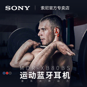 Sony/索尼 MDR-XB80BS