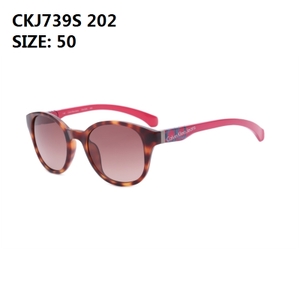 CKJ739-S-202