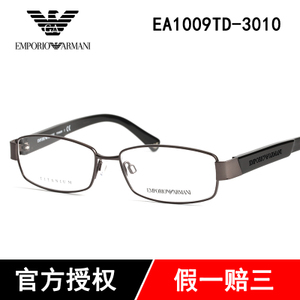 EA1009TD-3010