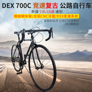 DEX dex-OFS10