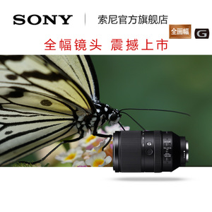 Sony/索尼 SEL70300G