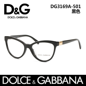 DG3169-A-501