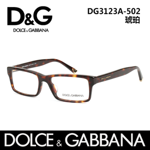 DG3123A