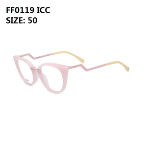 FF0119-ICC