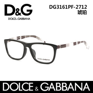 DG3161PF-2712