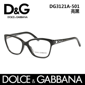 DG3121A-501