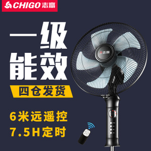 Chigo/志高 FS-40-16A22RC