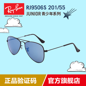 Rayban/雷朋 RJ9506S-201-201