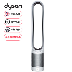 dyson/戴森 D056303974-01