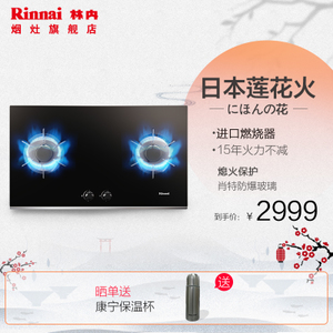 Rinnai/林内 RB-2E01L