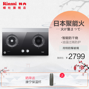 Rinnai/林内 RB-2E01NS