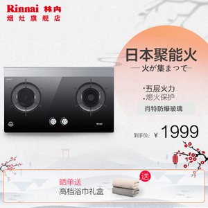 Rinnai/林内 RB-2E01N