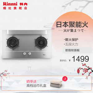 Rinnai/林内 RB-2E02N