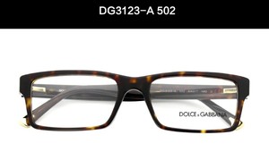 DG3123