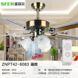 SFR-DSD-0001-8083