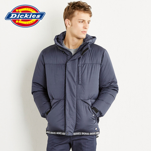 Dickies 164M10WD17